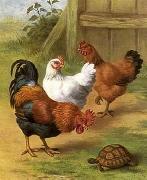 unknow artist Cocks 096 oil painting picture wholesale
